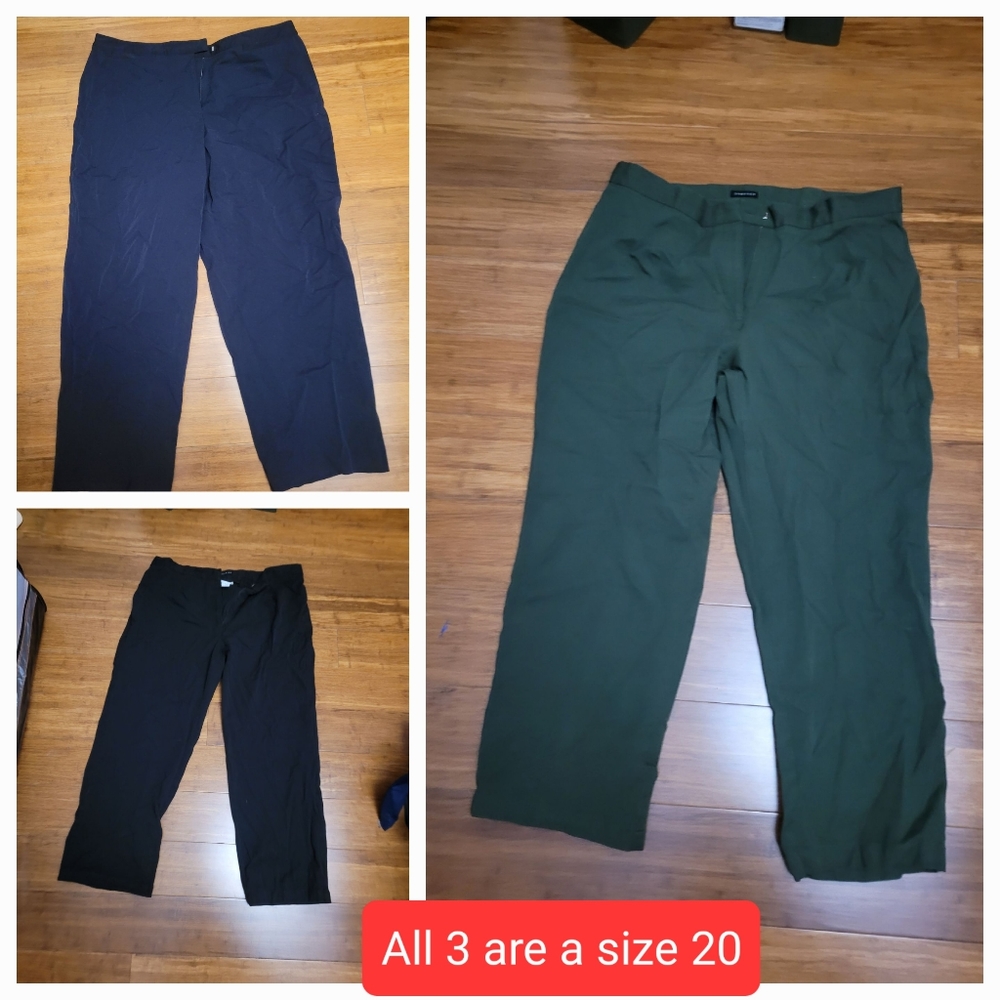 Dress pants